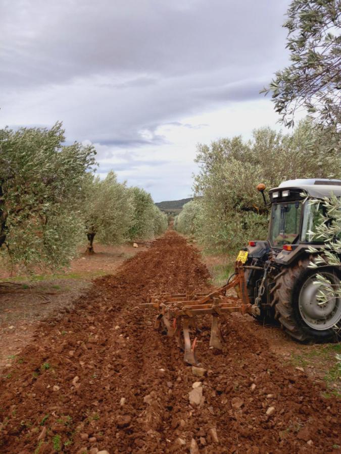 Escale Au Salagou Le Bosc  Dış mekan fotoğraf